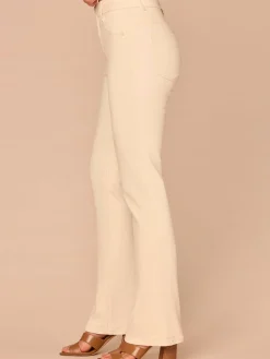 "Ab"solution® High Rise Double Yoke Itty Bitty Boot Plus Size Pants