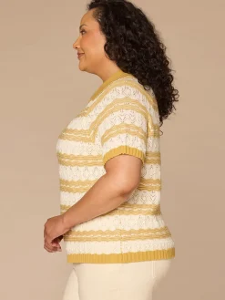 Short Sleeve V-Placket Novelty Stitch Stripe Plus Size Sweater Top